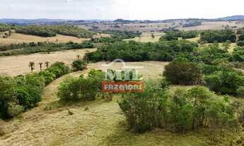 Imagem 3: Chacara 11 alqueires (53,24 hectares) araçu - Go