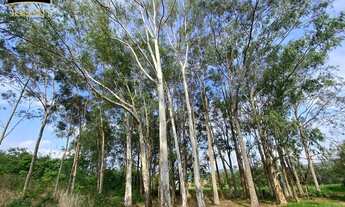 Imagem 4: Chácara com Cachoeira mata nativa - 4 quartos, 4 suítes, 3 salas e 250m² de área em Chapad
