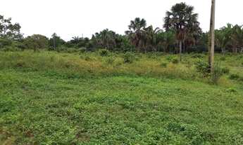 Imagem 3: Fazenda 13.5 alq no Tocantins m Goiatins