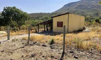 Imagem 6: Fazenda 20 alqueires