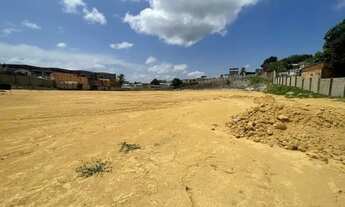 Imagem 6: Terreno comercial 13.000m² totalmente Plano