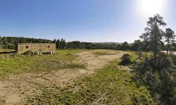 Imagem 7: Terreno com Prédio Industrial em Frente à BR-290 - Arroio dos Ratos, RS