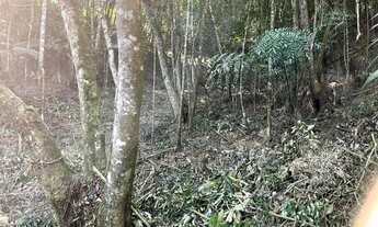 Imagem 5: Terreno com 5.115 m² à venda em Suzano - SP por R$ 169.000,00