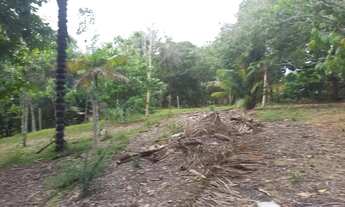 Imagem 4: Vendo Terreno medindo 30.000 M2 Brasileirinho!