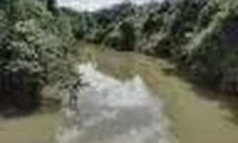 Imagem 6: Fazenda c/ 149he, c/ 80he aberto, terra mista, 70km de Cuiabá-MT