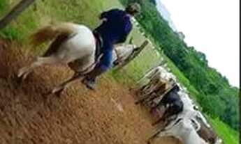 Imagem 6: FAZENDA EM AURORA DO TOCANTINS