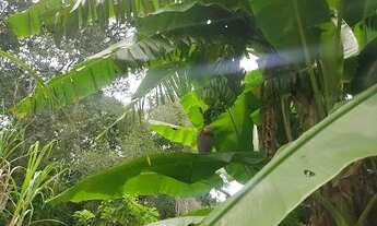 Imagem 5: Chácara com pomar, no Senador Canedo, 7 km do Parque Atheneu, Terreno 4.761,50 m²