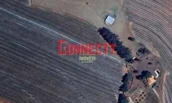 Imagem: Sítio à venda, Cajuru, SP