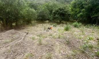 Imagem 6: Lote - Condomínio Paragem Do Tripui