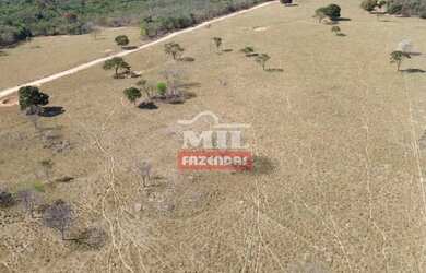 Imagem 2: Fazenda 17.3 Alqueires (83,72 Hectares ) Cezarina - Go