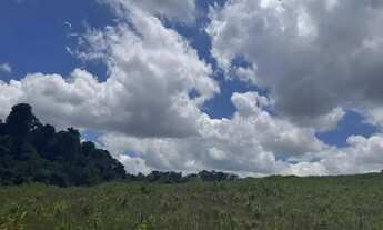 Imagem 2: Lotes em Ibiúna ideal para seu chalés - 1000m²