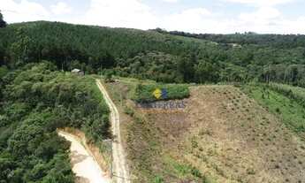 Imagem 2: Chácara com 1 dormitório à venda, 20566 m² por R$ 220.000,00 - Macaco - Bocaiúva do Sul/PR