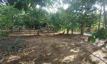 Imagem 2: /Lote com 800 M2 em Açutuba