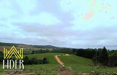 Imagem 3: SEU LOTE DE 500² EM COTIA