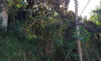 Imagem 2: Terreno 16x29 ,aclive excelente localização