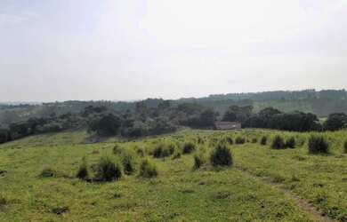 Imagem: área - Santo Antonio - Louveira