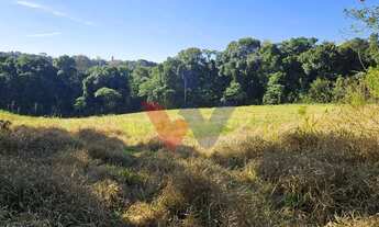 Imagem 2: Chácara 7 Alqueires em Campo Magro Ideal para Plantio e Lazer