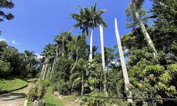 Imagem: Sitio de 5 alqueires em Mogi das Cruzes