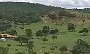 Imagem 6: Fazenda com 64 Alqueires (309,76 hectares) Região Orizona/Luziânia GO Riquíssima em Água