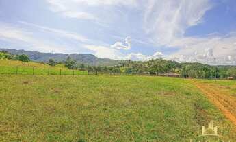 Imagem 3: Fazenda 32 Alqueires - Sanclerlândia Goiás