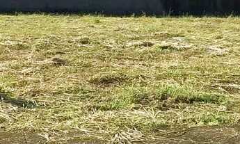 Imagem 4: TERRENO PARK CAÇARI