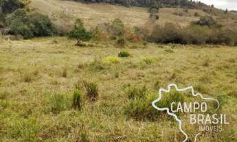 Imagem 6: Sítio para agropecuária e Agricultura. 100% tratorável!