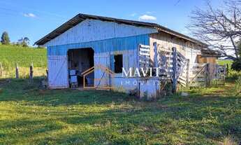 Imagem 6: Terreno Rural 25 hectares com Casa e Galpão em Capão Alto SC