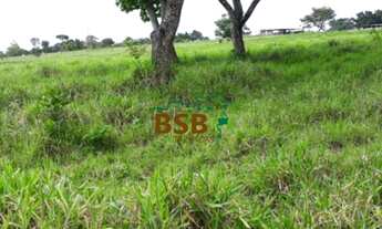 Imagem 6: Sítio 32 ha - Entrada da Sete Curvas, BR060