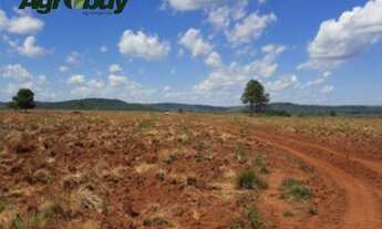 Imagem: Fazenda Com 6 Mil Hectares no Sul do Pará