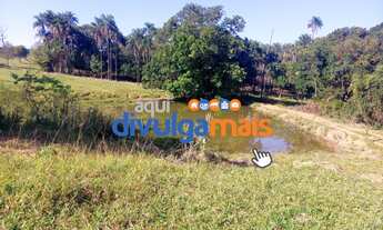 Imagem 6: Fazenda a venda de 47 alqueires na região de Morrinhos GO