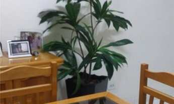 Imagem 2: Apartamento à venda, Cibratel I, Itanhaém - AP0057