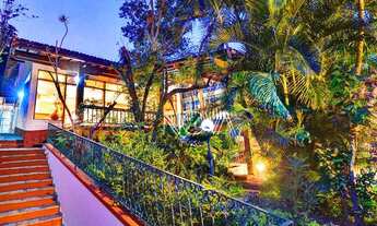 Imagem 5: JARDIM BOTÂNICO