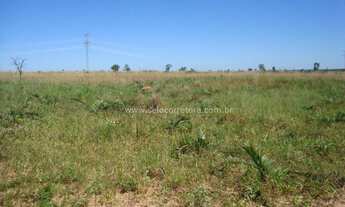 Imagem 5: EXCELENTE FAZENDA NO MUNI. DE NOVA LACERDA-MT