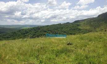 Imagem 5: Fazenda a venda - área real