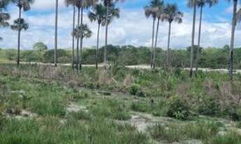 Imagem 6: FAZENDA DE 2.230 HECTARES PARA IRRIGAÇÃO EM SÃO ROMÃO - MG