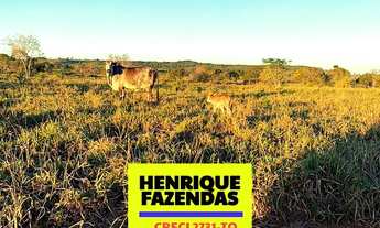 Imagem 6: Fazenda Vitrine, 60 alqueires ( 290.4 hectares). 45 alqueires em Dois Irmãos