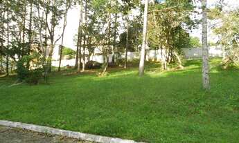 Imagem: OPORTUNIDADE