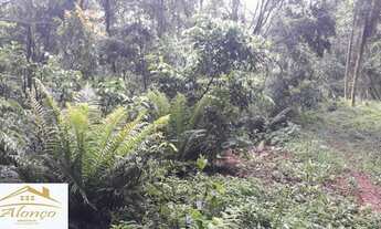 Imagem 6: Excelente área de terra em Nova Petrópolis, bairro Linha Olinda, RS Ref.:714