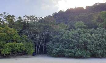 Imagem 6: Terreno Praia do Guaecá - São Sebastião (Litoral Norte