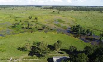 Imagem 5: Fazenda no Vale do Araguaia-TO