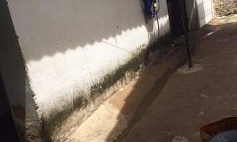 Imagem 3: Casa residencial à venda, Vila Diniz, São José do Rio Preto