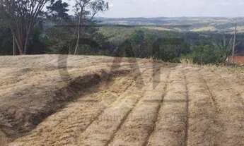 Imagem 5: Terreno à venda, 250 m² por R$ 90.000,00 - Capela de Santo Antônio - Jaguariúna/SP
