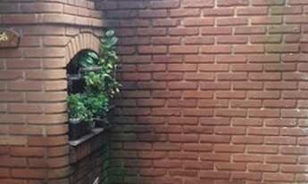 Imagem: Sobrado para aluguel possui 300 metros quadrados