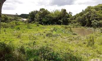 Imagem 2: Área à venda, 40000 m² por R$ 2.800.000 - Pinhal - Jarinu/SP