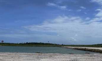 Imagem 3: Lotes escriturados em Barra Grande. Oportunidade!