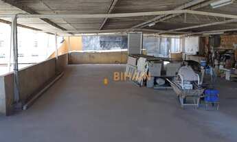 Imagem 7: Casa com 4 dormitórios à venda por R$ 720.000,00 - Nova Granada - Belo Horizonte/MG