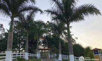 Imagem 3: Sítio com 3 dormitórios à venda, 50000 m² por R$ 1.500.000,00 - Área Rural - Santa Rita de