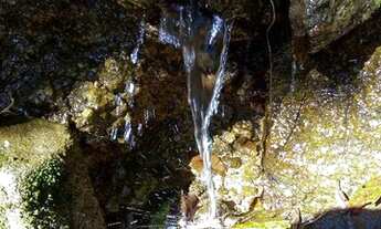 Imagem 4: Sítio à venda, 446000 m² por R$ 850.000,00 - Zona Rural - Caldas/MG