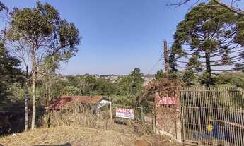 Imagem 3: Chácara com 1 dormitório à venda, 6020 m² por R$ 450.000,00 - São Dimas - Colombo/PR