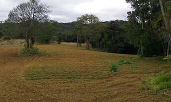 Imagem 4: Eduardo. Casa para venda possui 24200 metros quadrados com 3 quartos em Colônia (Zona Sul